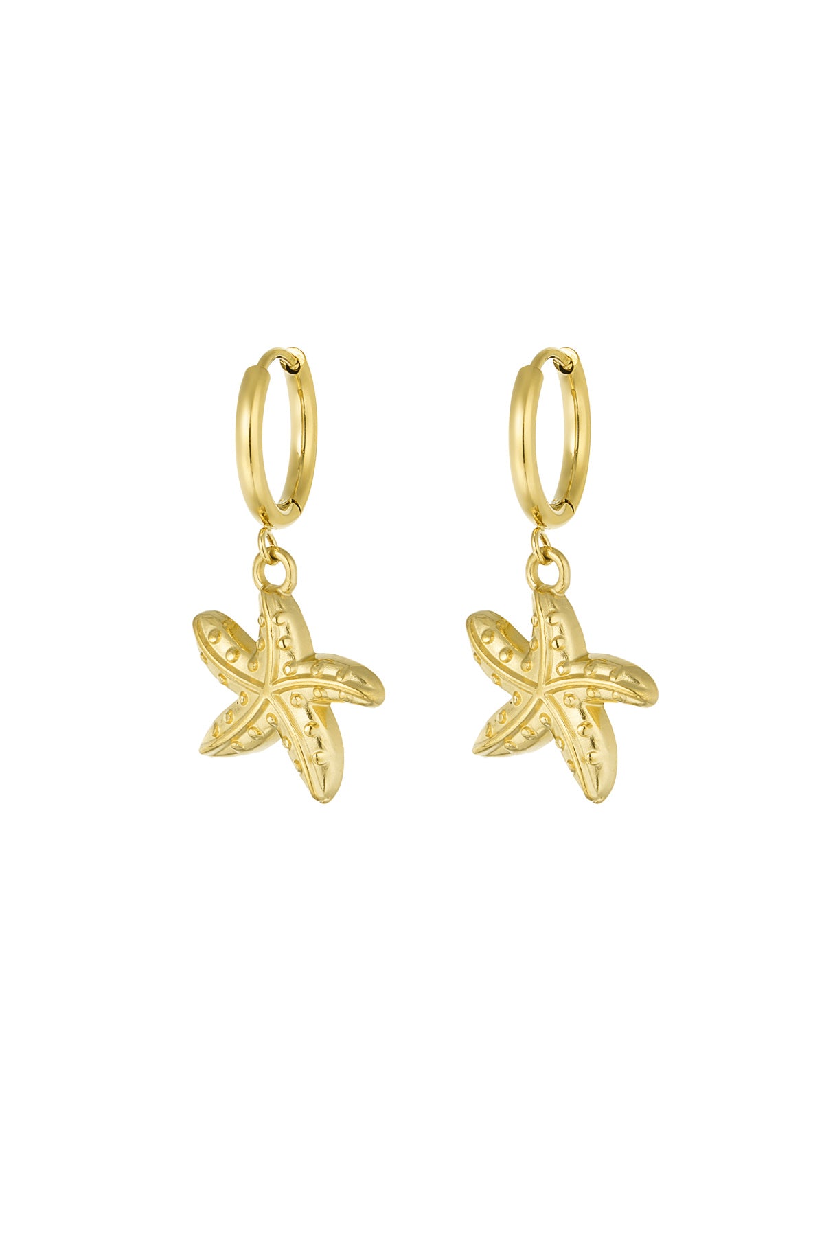 Starfish (1 Piece)